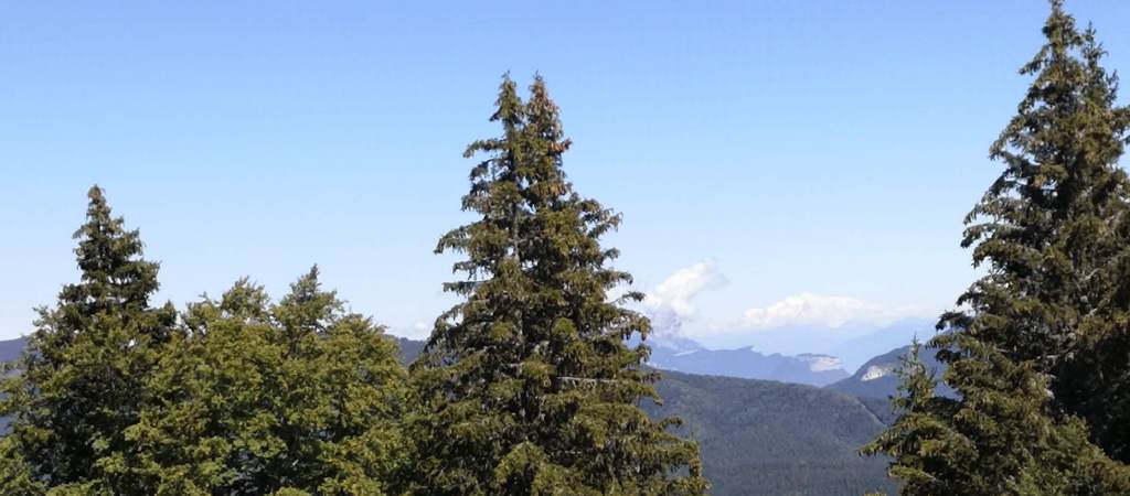 Vue du Mont-Blanc depuis le Gros Martel