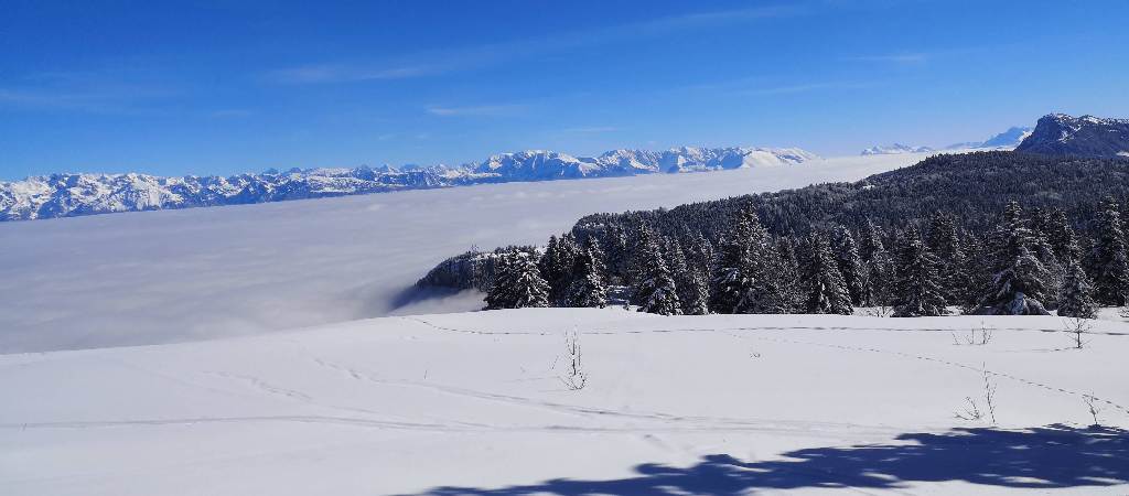 Rando raquettes, vue depuis la Sure