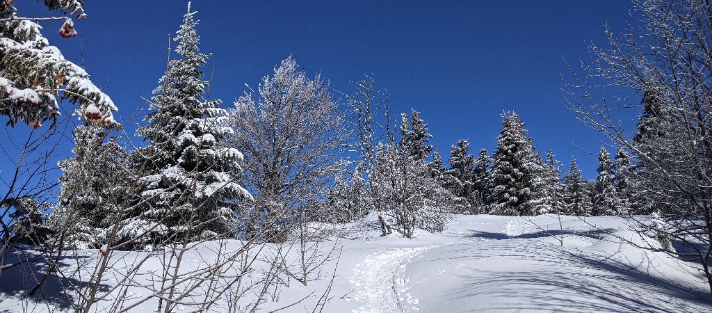 Domaine de Gève, randonnée raquettes à Autrans