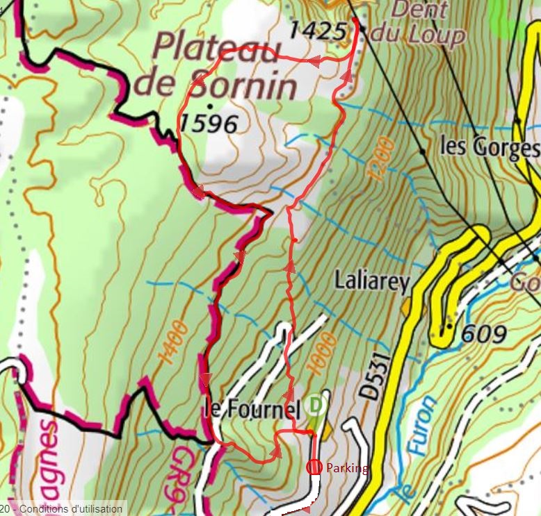 carte IGN Plateau du Sornin et Dent du Loup